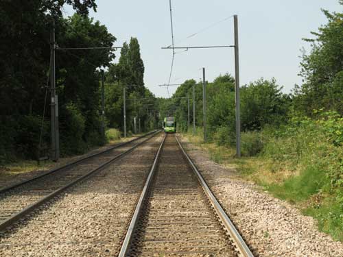 36