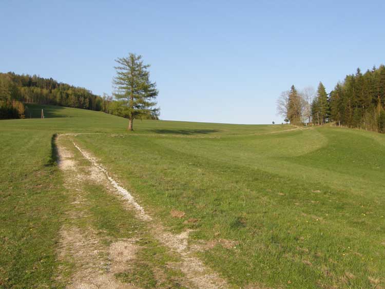 210