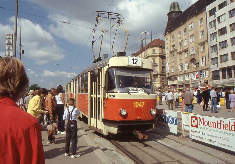 55