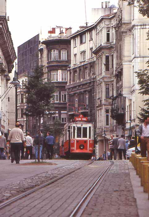231